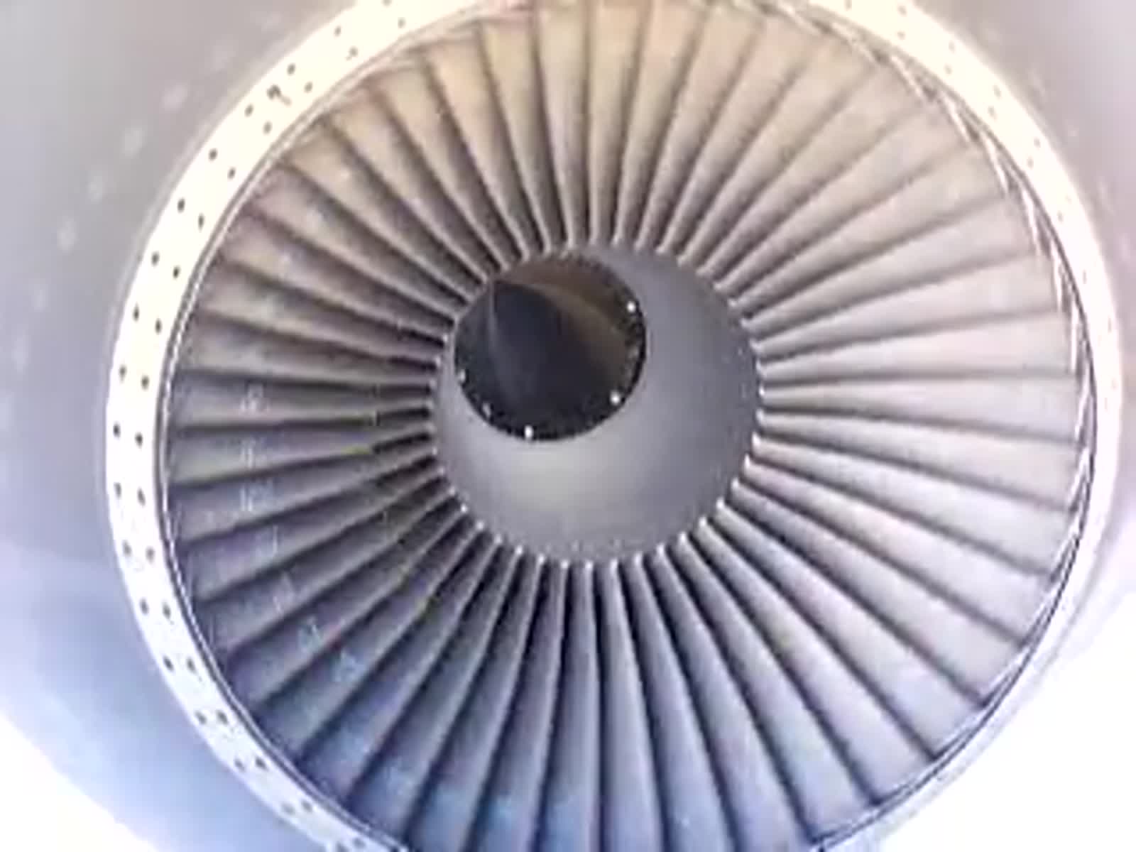 smugmug_TheCottens_530986963_vf45pFB.mp4