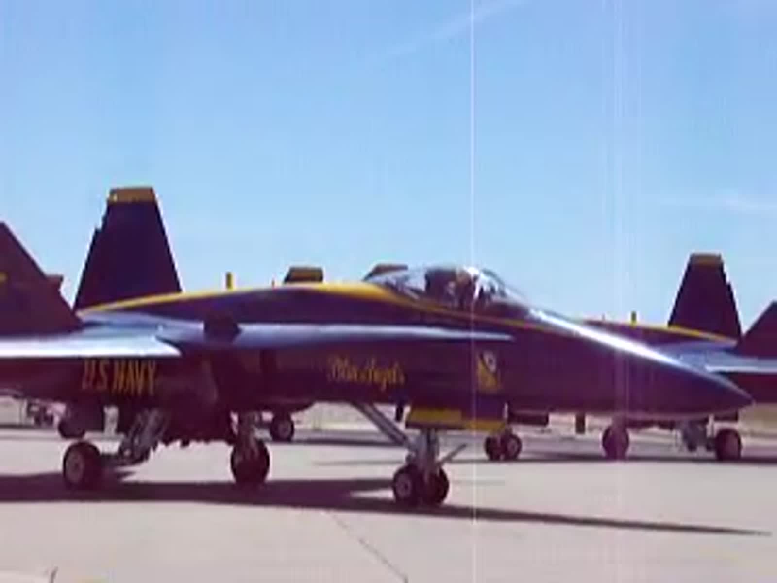 smugmug_TheCottens_530988814_HTB3D6h.mp4