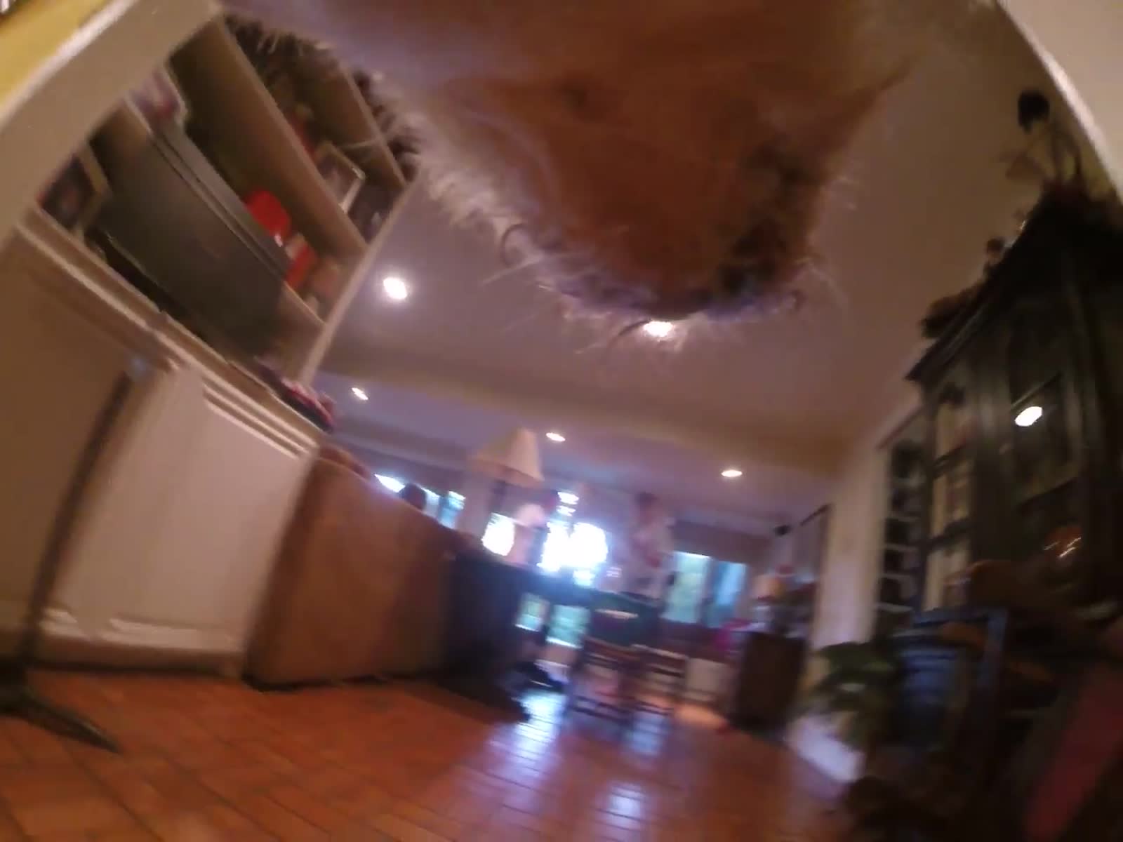 smugmug_TheCottens_3361433009_SVnkBQK.mp4