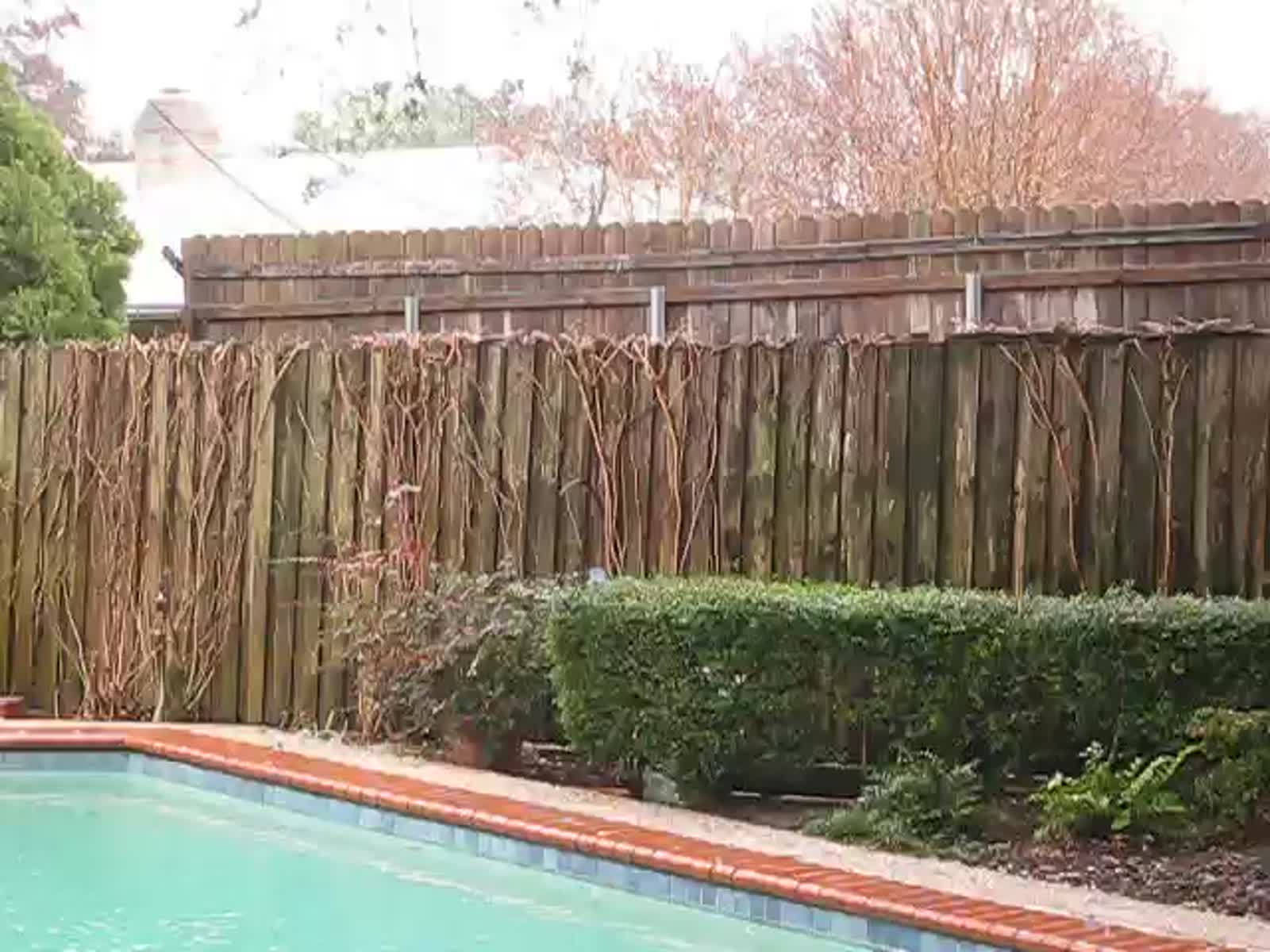 smugmug_TheCottens_748843340_xqDbJD7.mp4