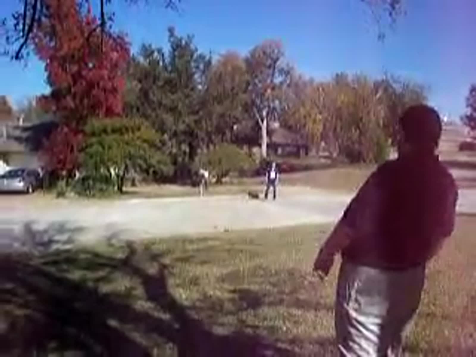 smugmug_TheCottens_531012702_V6RSVbJ.mp4