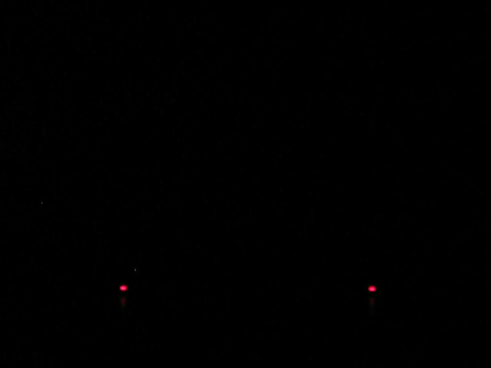 smugmug_TheCottens_1058821075_KjQDQ59.mp4