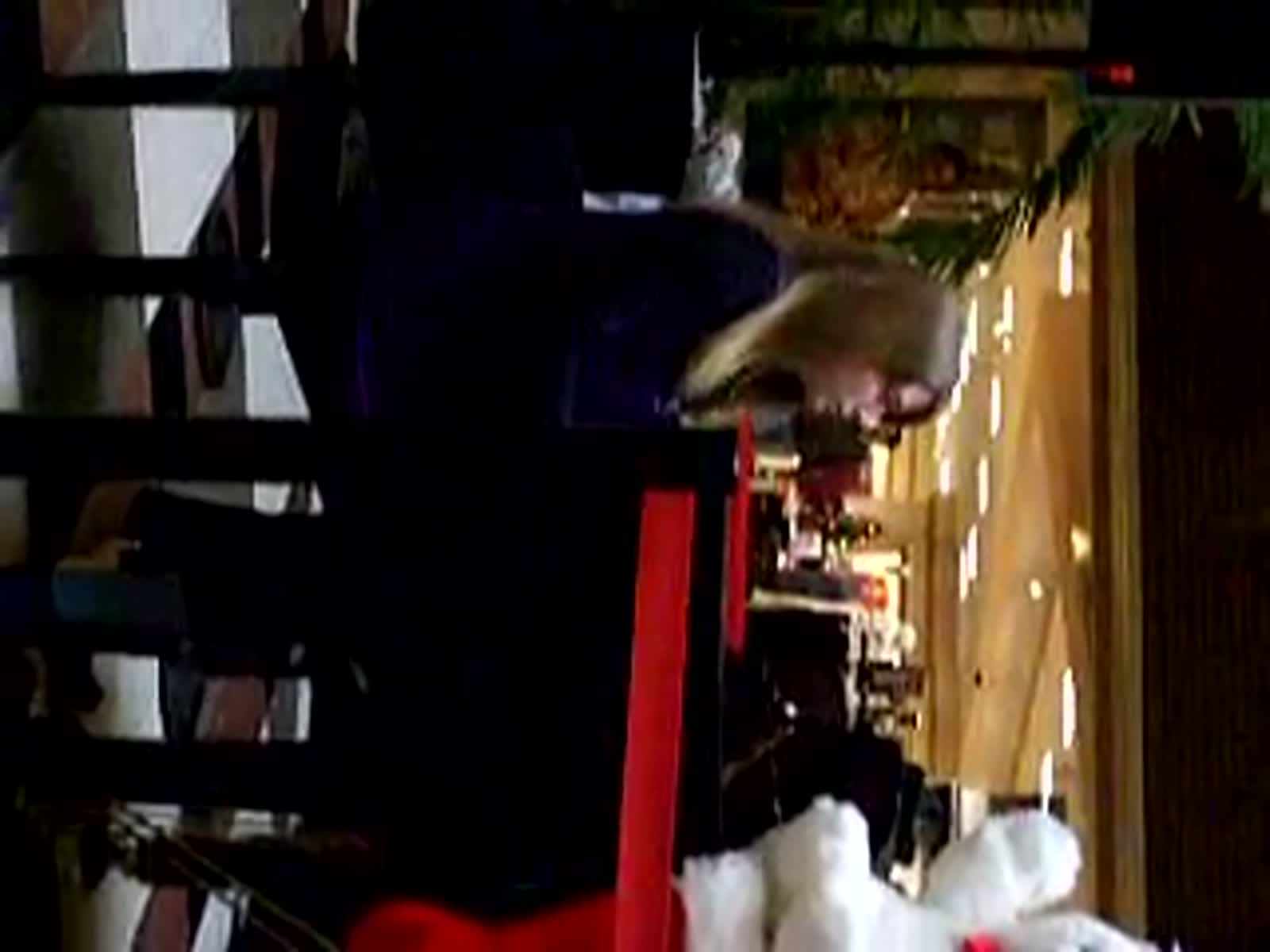 smugmug_TheCottens_531015992_qxFt65P.mp4