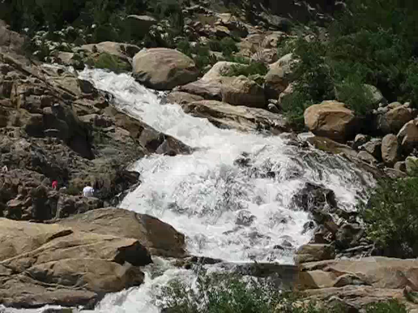 smugmug_TheCottens_928084448_z8XDsrD.mp4