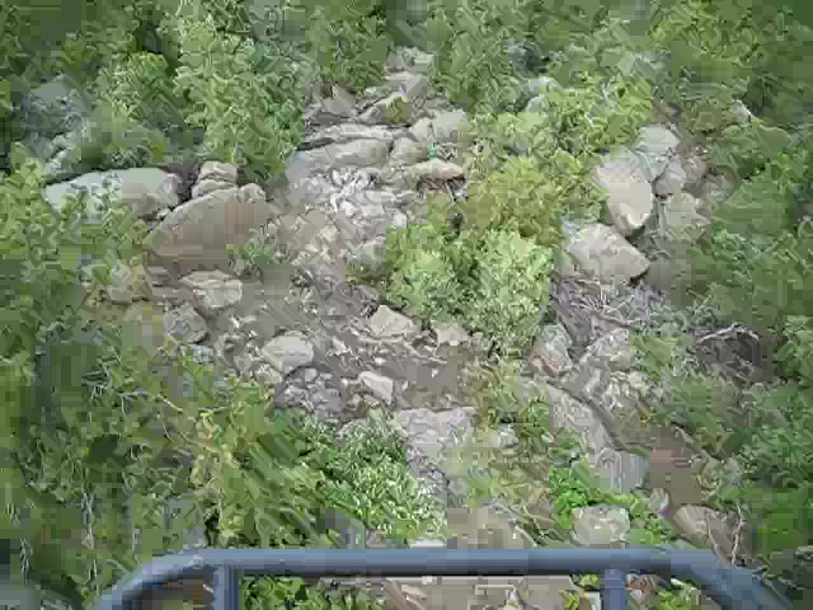 smugmug_TheCottens_928087893_tNxGMsJ.mp4