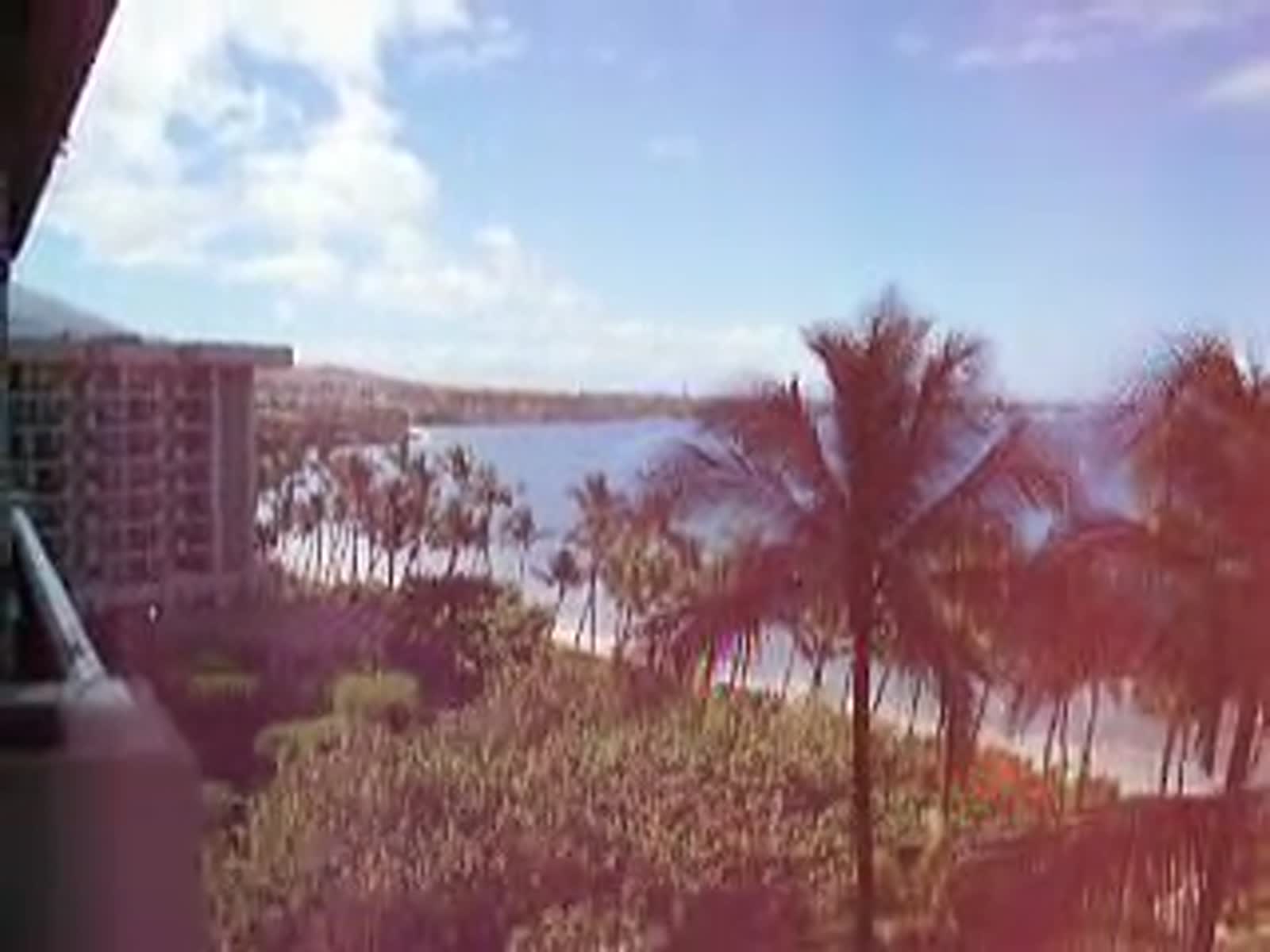 smugmug_TheCottens_531226743_9hzQzwQ.mp4