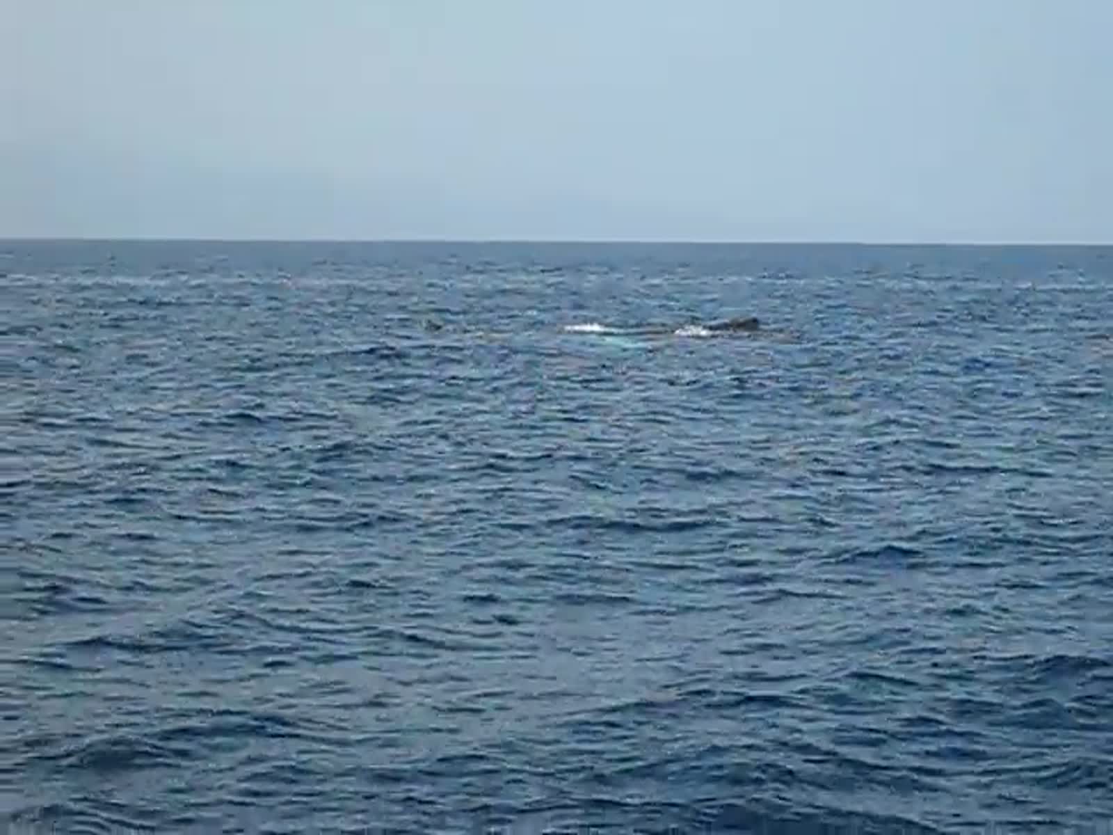 smugmug_TheCottens_1687259670_f2bh8c9.mp4