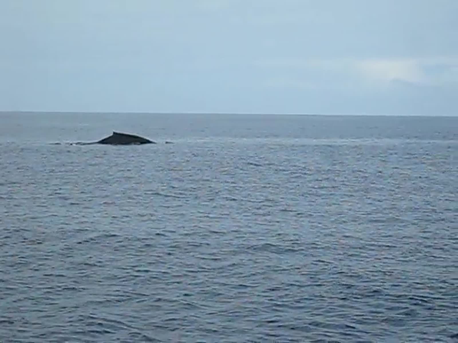 smugmug_TheCottens_1689082681_5r7XkS6.mp4