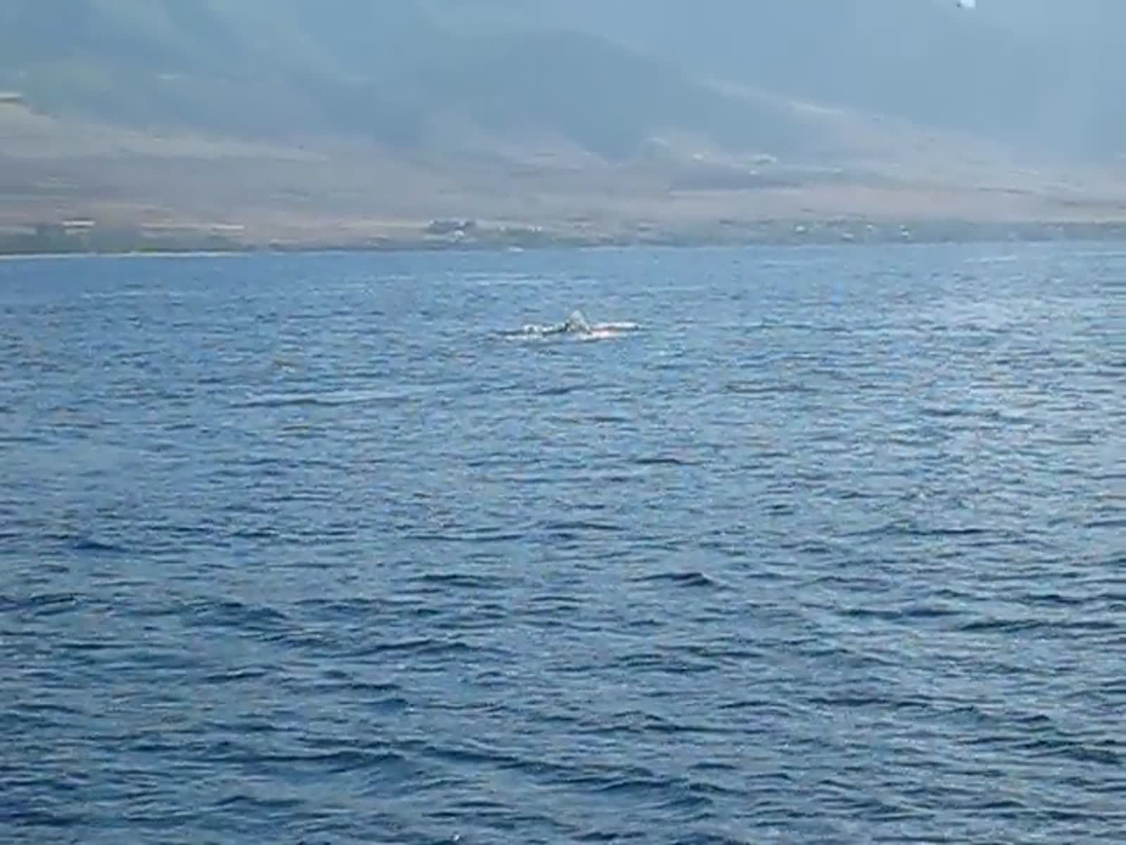 smugmug_TheCottens_1689083519_nxXfB45.mp4