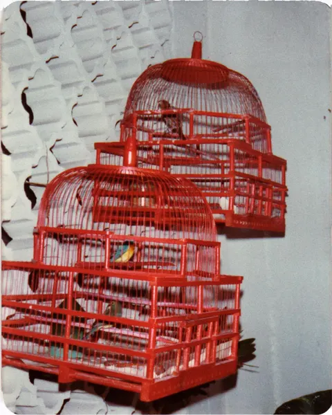 1977 Mexico Trip with McLeods