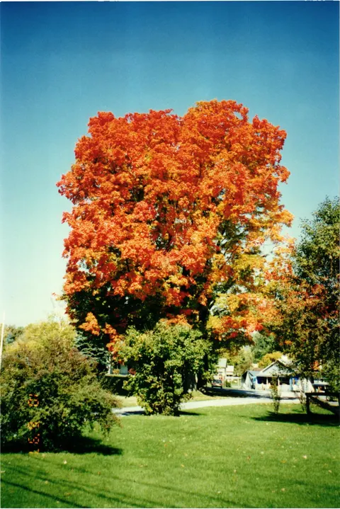 X Barbara's Albums 2